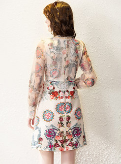 Long Sleeve Mesh Patchwork Print Mini Dress
