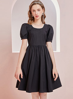 Brief Short Sleeve A Line Little Black Dress