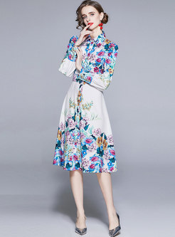 Turn-down Collar Print Belted A Line Dress
