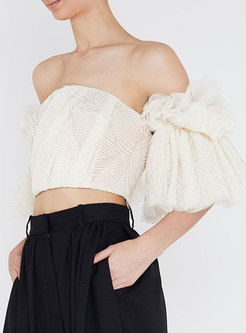 Off-the-shoulder Mesh Embroidered Crop Blouse