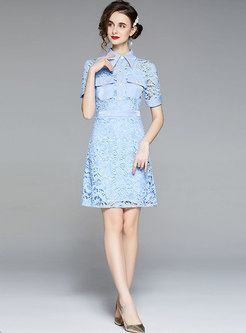Turn-down Collar Openwork Lace A Line Dress