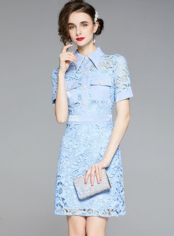 Turn-down Collar Openwork Lace A Line Dress