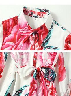Turn-down Collar Print A Line Shirt Dress