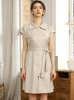 Turn-down Collar Single-breasted A Line Shirt Dress