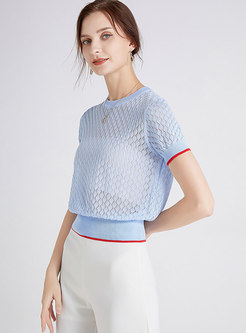 Sexy Transparent Openwork Knitted T-Shirt