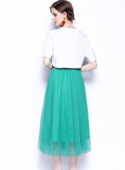 Sequin Pullover T-shirt & A Line Mesh Maxi Skirt