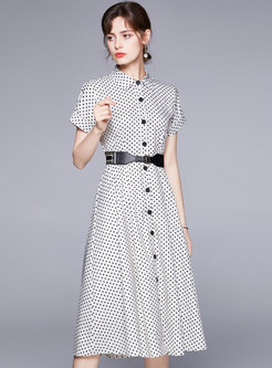 Dot Turn-down Belted A Line Dress
