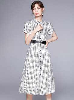 Dot Turn-down Belted A Line Dress