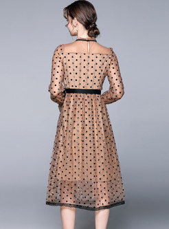 Long Sleeve Polka Dot A Line Mesh Midi Dress