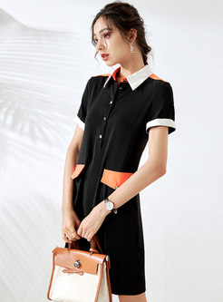 Color Blocked Single-breasted Polo Shirt Dress