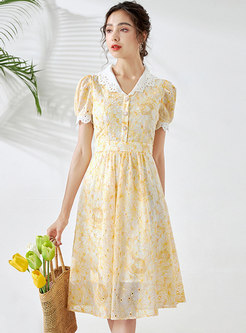 Cute Openwork Embroidered Chic Skater Dress