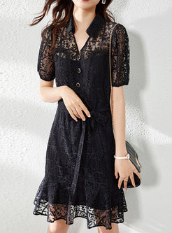 Black V-neck Transparent Lace Peplum Dress
