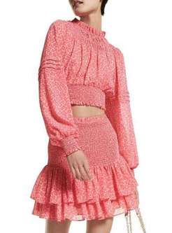 Pink Leopard Long Sleeve Top & Smocked Mini Skirt