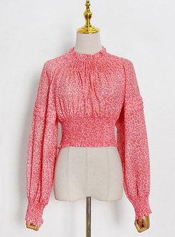 Pink Leopard Long Sleeve Top & Smocked Mini Skirt