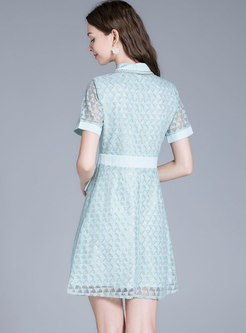Turn-down Collar Embroidered A Line Lace Dress