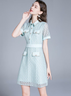 Turn-down Collar Embroidered A Line Lace Dress