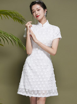 White Mandarin Collar Polka Dot Jacquard Skater Dress