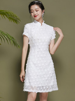 White Mandarin Collar Polka Dot Jacquard Skater Dress