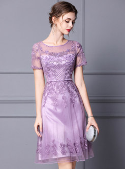 Elegant Embroidered Transparent Cocktail Dress