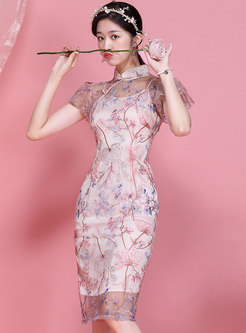 Transparent Pink Embroidered Mandarin Collar Bodycon Dress
