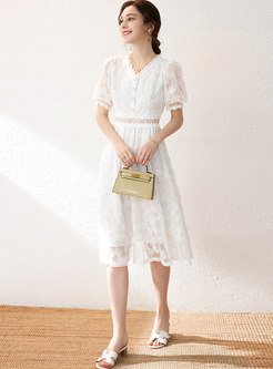 White V-neck Lace Mesh Patchwork A Line Dress