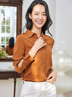 Brief Long Sleeve Single-breasted Silk Blouse