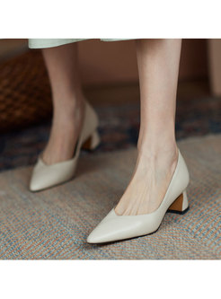 Brief Pointed Toe Low-fronted Chunky Heel Shoes