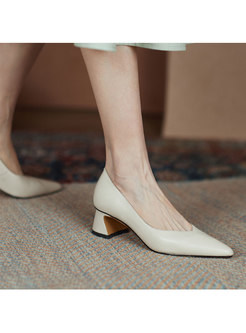 Brief Pointed Toe Low-fronted Chunky Heel Shoes