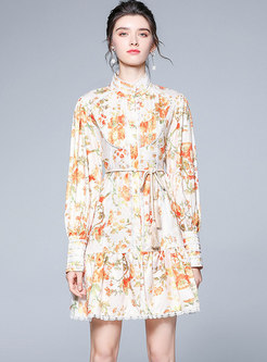 Cute Turtleneck Long Sleeve Print Short Dress