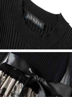 Mesh Lantern Sleeve Sweater Embroidered Midi Dress