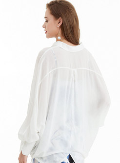 Long Sleeve Sheer Pullover Loose Blouse