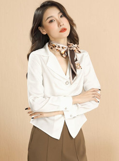 Long Sleeve Single-breasted Ruched Short Blouse