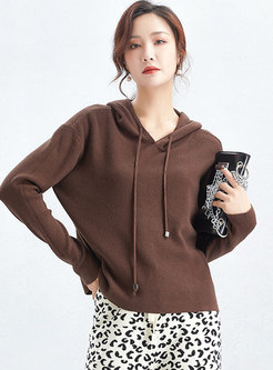 Hooded Drawstring Pullover Loose Sweater