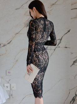 V-neck Long Sleeve Openwork Lace Sexy Dress