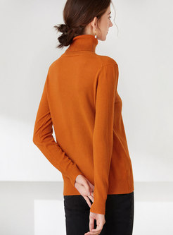 Turtleneck Solid Slim Sweater
