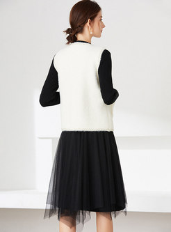 Mock Neck Long Sleeve Mesh Sweater Dress & Mink Velvet Vest