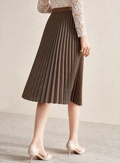 High Waisted A Line Pleated Midi Skirt