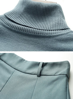 Turtleneck Pullover Slim Sweater & A Line Long Skirt