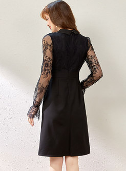 V-neck Lace Long Sleeve Sheath Short Dress