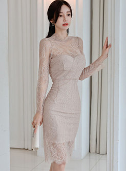 Sexy Long Sleeve Sheer Lace Bodycon Dress