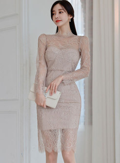 Sexy Long Sleeve Sheer Lace Bodycon Dress
