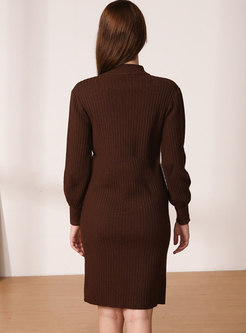Brief Long Sleeve Sheath Short Sweater Dress
