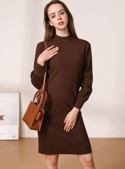 Brief Long Sleeve Sheath Short Sweater Dress