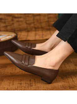 Pointed Toe Low Heel Loafers