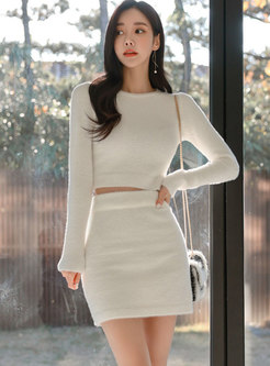 Long Sleeve Pullover Cropped Top & Mini Sheath Skirt