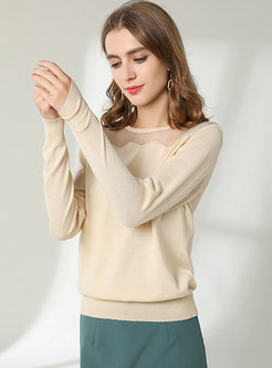 Brief Crew Neck Pullover Sheer Wool Sweater