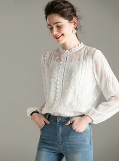 Long Sleeve Pullover Lace Sheer Blouse