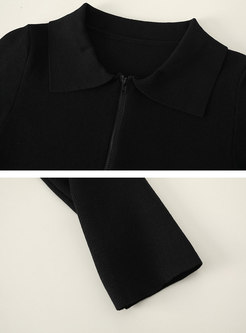 Black Brief Long Sleeve Sheath Mini Knitted Dress