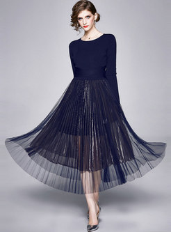Long Sleeve Knit Top & Mesh A Line Pleated Maxi Skirt