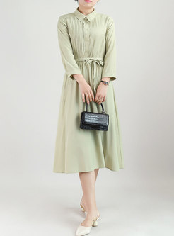 Brief Long Sleeve Single-breasted A Line Shirt Dress